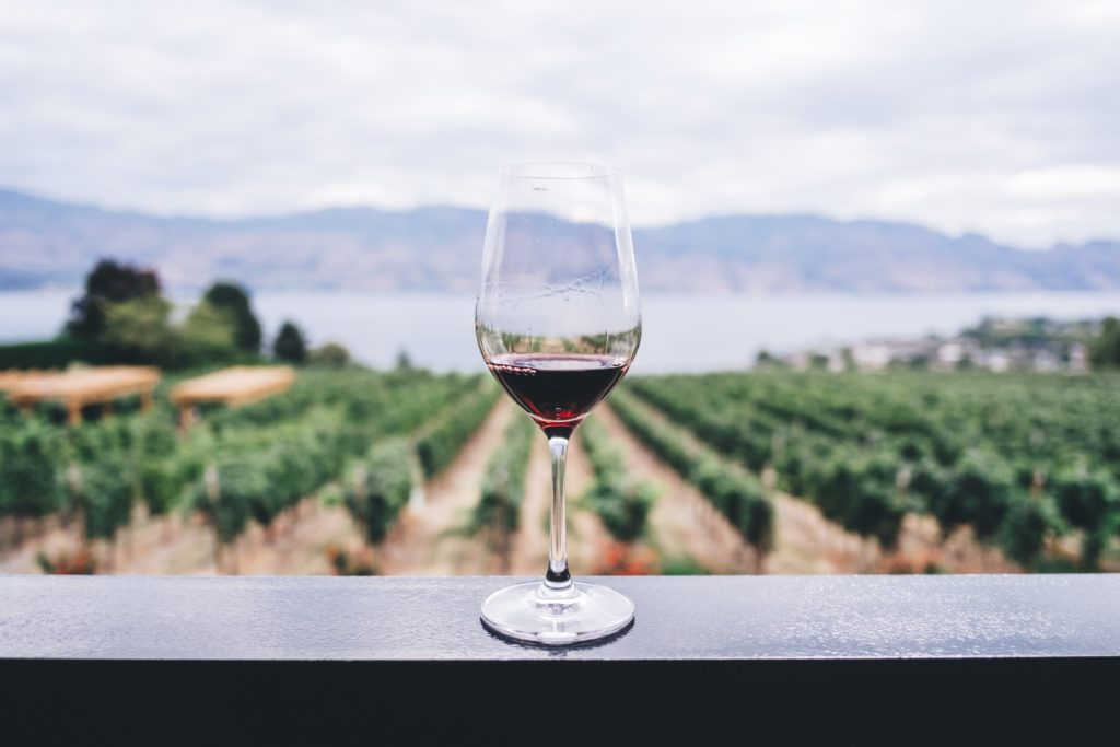 Fine Wines vineyard